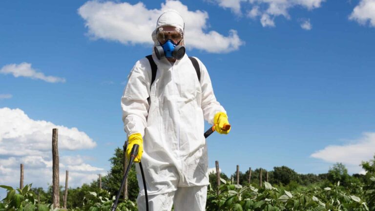 Pest Control