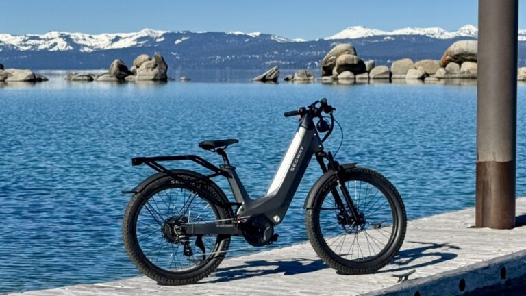 Gas Bikes